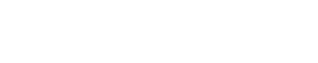 BizSys